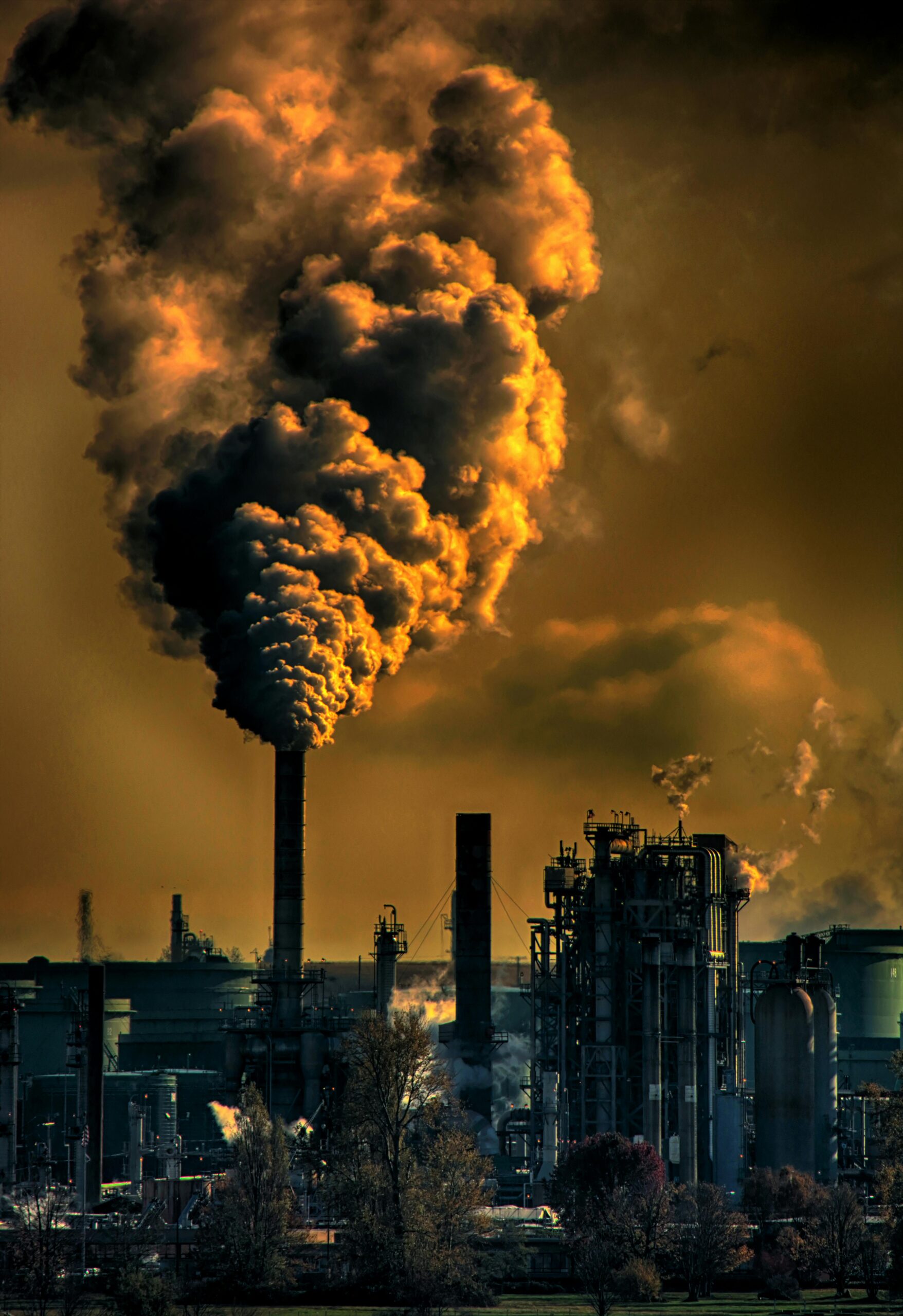 ZAMBEZI gAS 